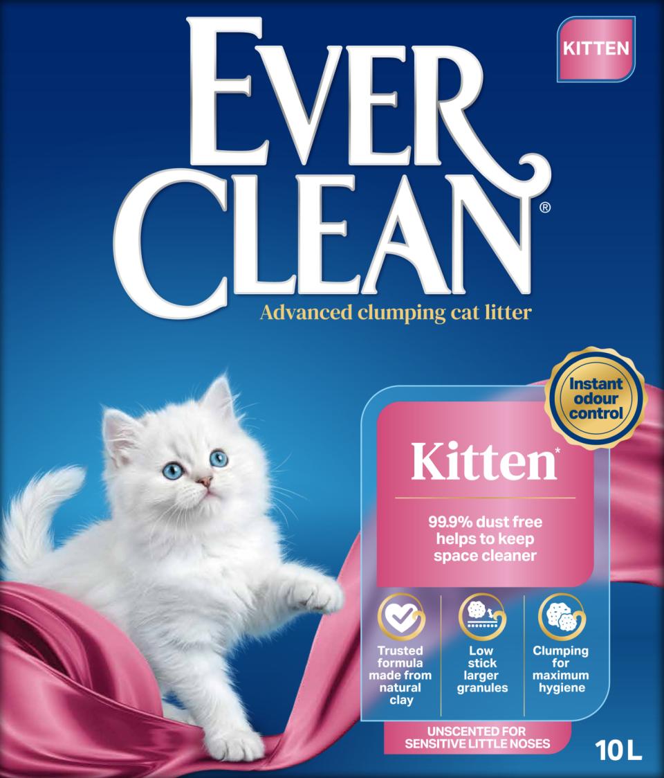 EVER CLEAN חול מתגבש אידיאלי לגורים - חול לחתולים