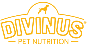 Divinus – דיווינוס