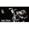 10HL 2015 SALTIGA  DAIWA שוכב, 2 image