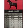 ריתמת פרפקט לכלב מרופדת XL ובשלל צבעים, 2 image