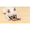צעצוע דנטלי לכלבים קליפת עץ בטעם עוף, 2 image