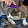 קונג  זום גרום - מברשת גומי לחתול, 5 image