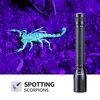 פנס-NEXTORCH C2-UV 2AA UV Light LED Flashlight , 2 image