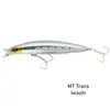 Daiwa Shoreline Shiner Z Vertice 97F 97mm 14.3g ~30-80cm , 5 image