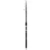 DAIWA MEGAFORCE BIG FISH TELESCOPIC MFBF295TXHBF 2.90M 100-300G 