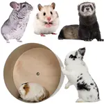 מצרים למכרסמים