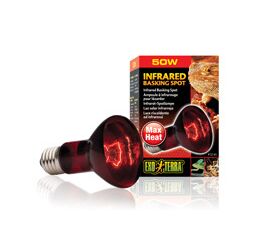 מנורה אינפרה אדום 50 וואט לזוחלים אקזוטרה | EXO TERRA