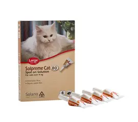 אמפולות סולפרם L לחתולים מעל 4 ק"ג - Solpreme Cat L