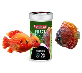 דג'אנה פאלטס סופר פוד חרקים לציקלידים