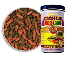 טרופיקל ציקליד