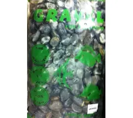 חצץ לאקווריום דגם 2003