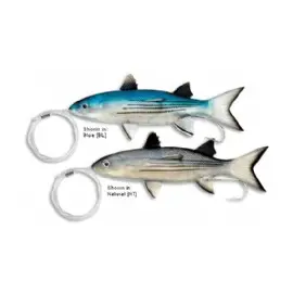 מולית (ברבוניה) מפוצלת זנב Split Tail Mullet
