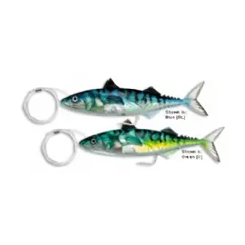 מקרל חי Live Mackerel