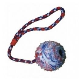 צעצוע לכלבים כדור קשיח מגומי וחבל Ball with a Rope