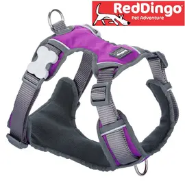 רד דינגו רתמת עבודה לכלב XL סגול