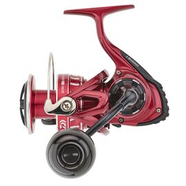 DAIWA BG RR LT ARK 5000D C
