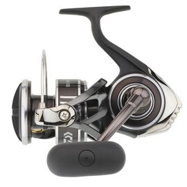 DAIWA 20 BG MQ 8000 H