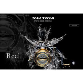 DAIWA 20 SALTIGA