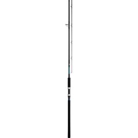 DAIWA SHORE JIGGING X 100MH 20-80G 