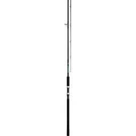 DAIWA SHORE JIGGING X 100MH 20-80G 