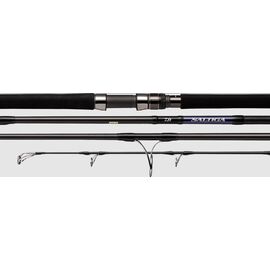 DAIWA SALTIGA C