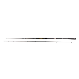 DAIWA MORETHAN AGS 107MH 3.20M 10-60G