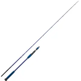 DAIWA LEGALIS OCEANO 662 XH-B 1.98M MAX 250G 