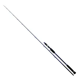 DAIWA EXCELER OCEANO JIG 642 HB-AF 1.93M MAX 180G - שוכב 