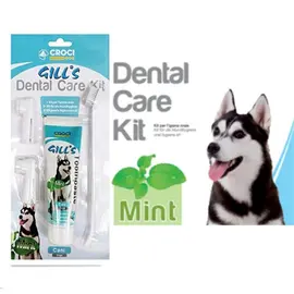 קרוקי בטעם מנטה משחת שיניים עם מברשות 100 גרם CROCI