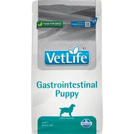 طعام طبي للكلاب وايتلايف gastrointestinal للجراوى - 2 كجم | مساعدة لمشاكل الهضم عند الجراوى