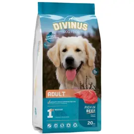 דיווינוס בוגר מזון לכלבים בוגרים - 20 ק"ג Divinus – דיווינוס