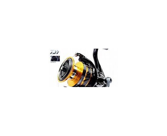 DAIWA NINJA BG LT