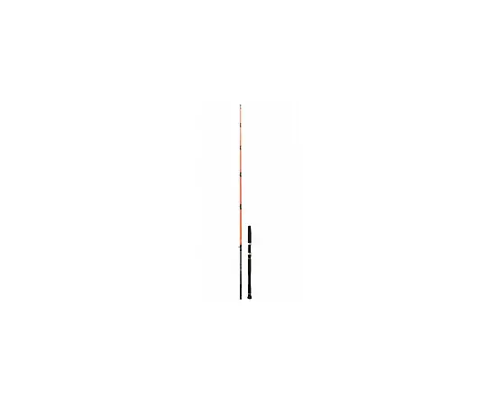 DAIWA MEGAFORCE BAY JIGGING