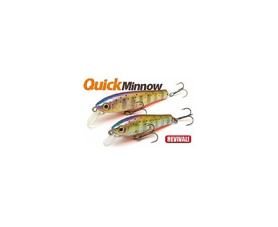 QUICK MINNOW 2.6