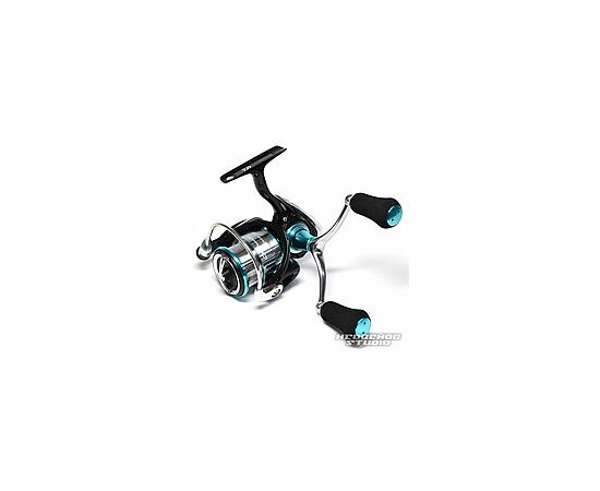 DAIWA EMERALDAS V LT 19, 3 image