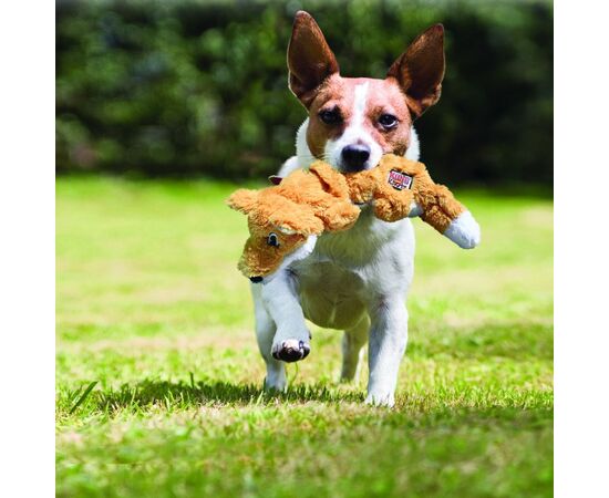 צעצועה קונג לכלבים, 4 image