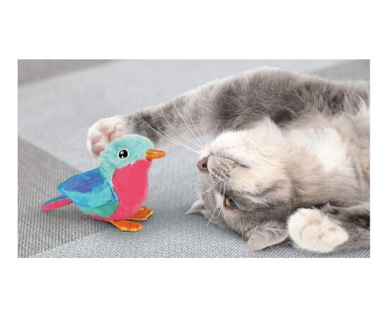 משחק קרקלס ציפור עם קטניפ לחתולים - קונג