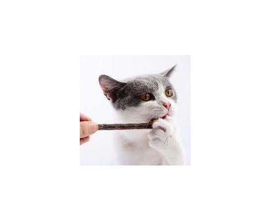 מקלוני קטניפ לחתולים  - ביוליין / BIOLINE, 3 image