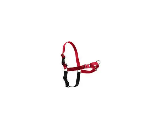 רתמת איזי ווק M/L אדום לכלבים פטסייף / PETSAFE