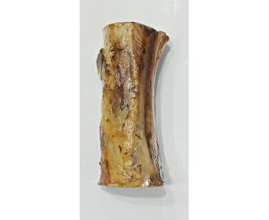 עצם בקר מיובשת עם מח עצם 18-20 ס"מ לכלבים  - פיש & פטס / FISH & PETS