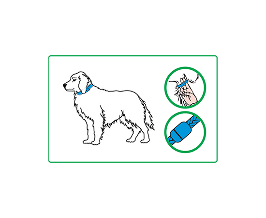קולר לחיזוק ותמיכה במפרקים גופלקס לכלבים עד 8 ק"ג - GOFLEX