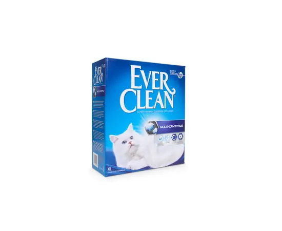 אבקלין 6 ליטר – מארז חסכון 4 קופסאות Ever Clean, 2 image