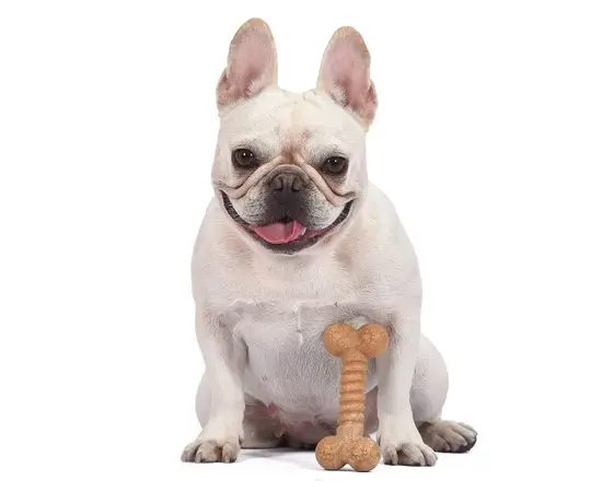 צעצוע דנטלי לכלבים קליפת עץ בטעם חמאת בטנים, 2 image