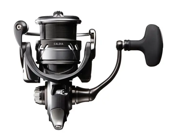 DAIWA 18 CALDIA LT 4000C-XH, 2 image