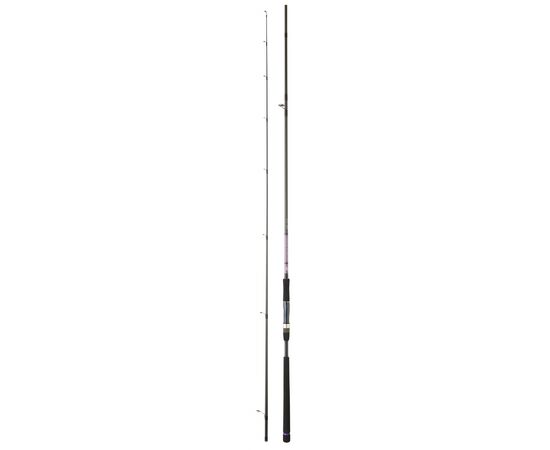 DAIWA CROSSCAST S SEABASS ROCKY SHORE 1002HXHFS 3.05M 14-56G 