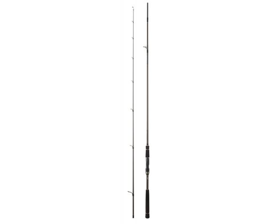 DAIWA LABRAX AGS 90M 2.74M 10-50G