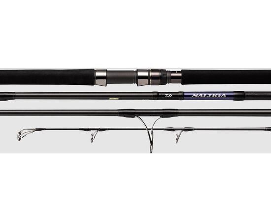 DAIWA SALTIGA C