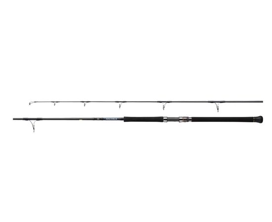 DAIWA SALTIGA C, 4 image