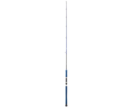 DAIWA LEGALIS OCEANO 581H-S 1.72M 90-210G 