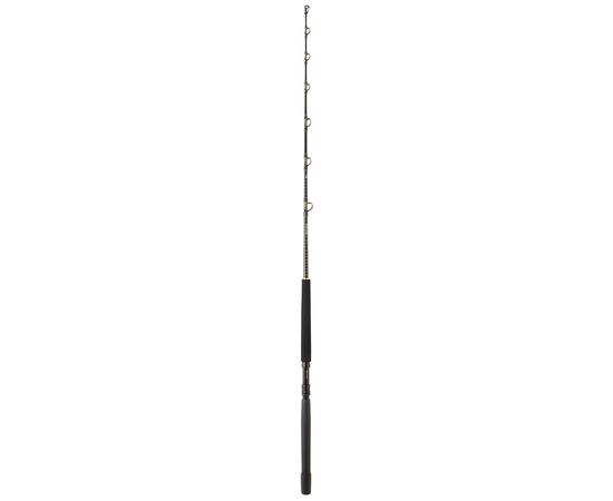 DAIWA SEALINE TROLLING 50-80LB 1.73M SLTR5080-AF